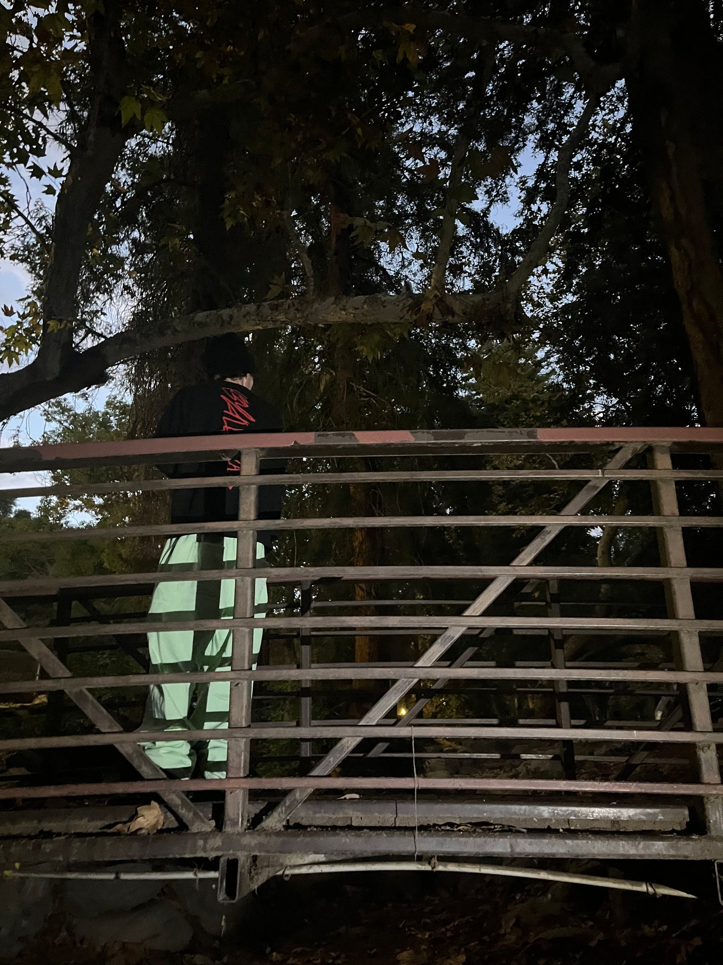 Red "Signature" Logo Thermal